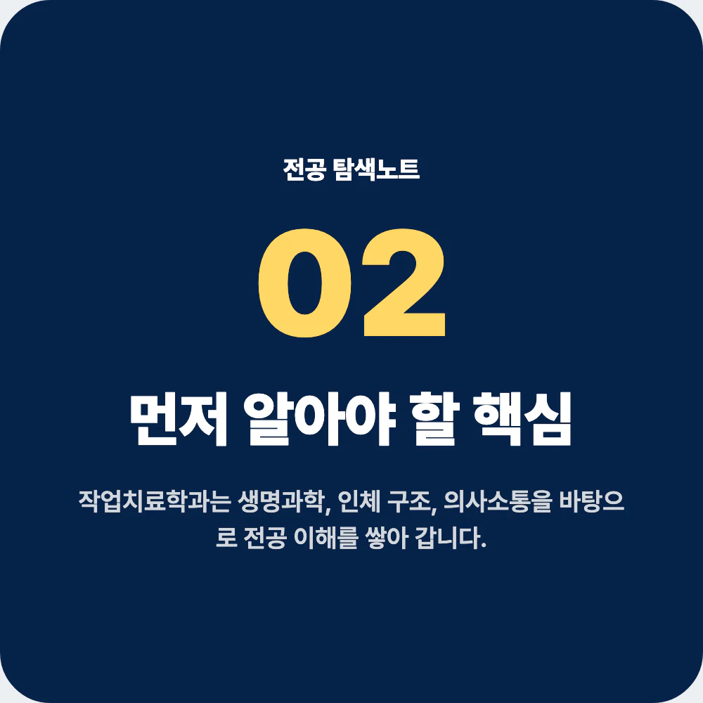 중고생이 작업치료학과 지원 전 알아야 할 핵심을 정리한 이미지