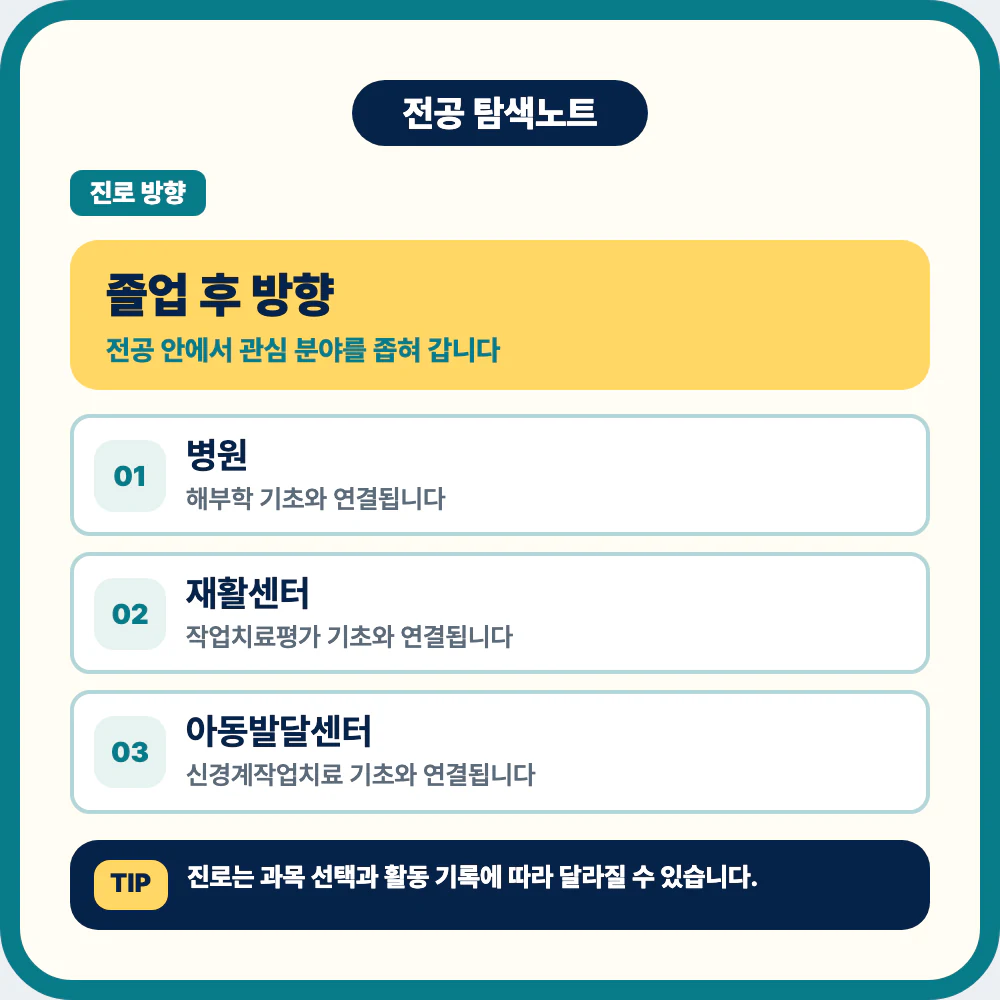 작업치료학과 졸업 후 병원 재활센터 아동발달센터 진로 방향 이미지