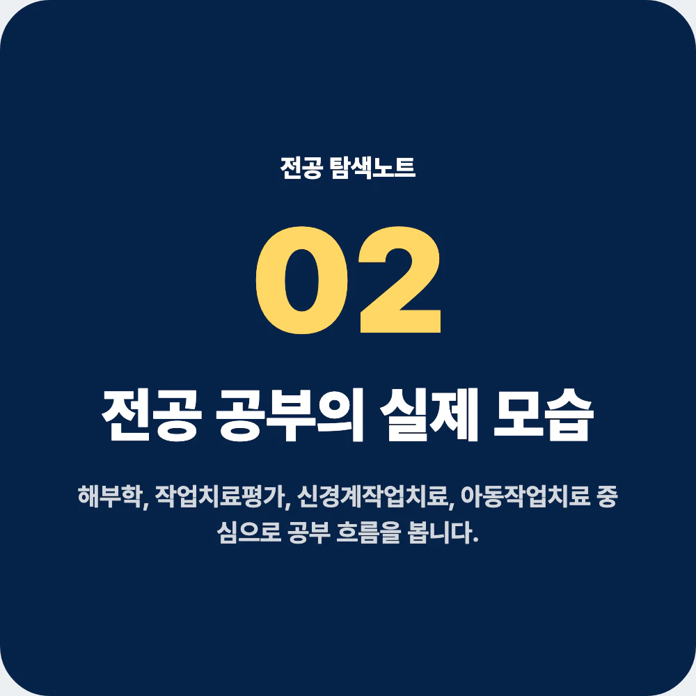 작업치료학과 전공 공부와 대표 과목 설명 이미지