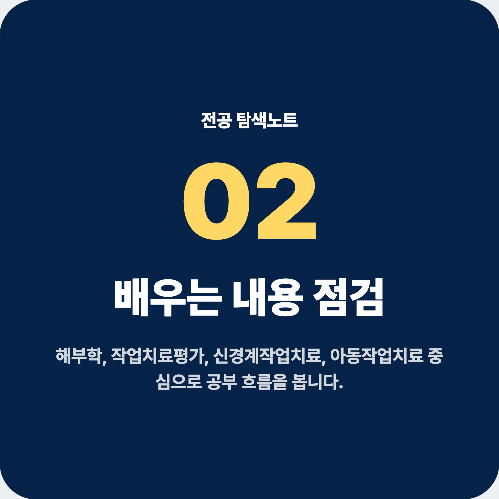 작업치료학과 배우는 내용 해부학 작업치료평가 신경계작업치료 아동작업치료 재활학 점검 이미지