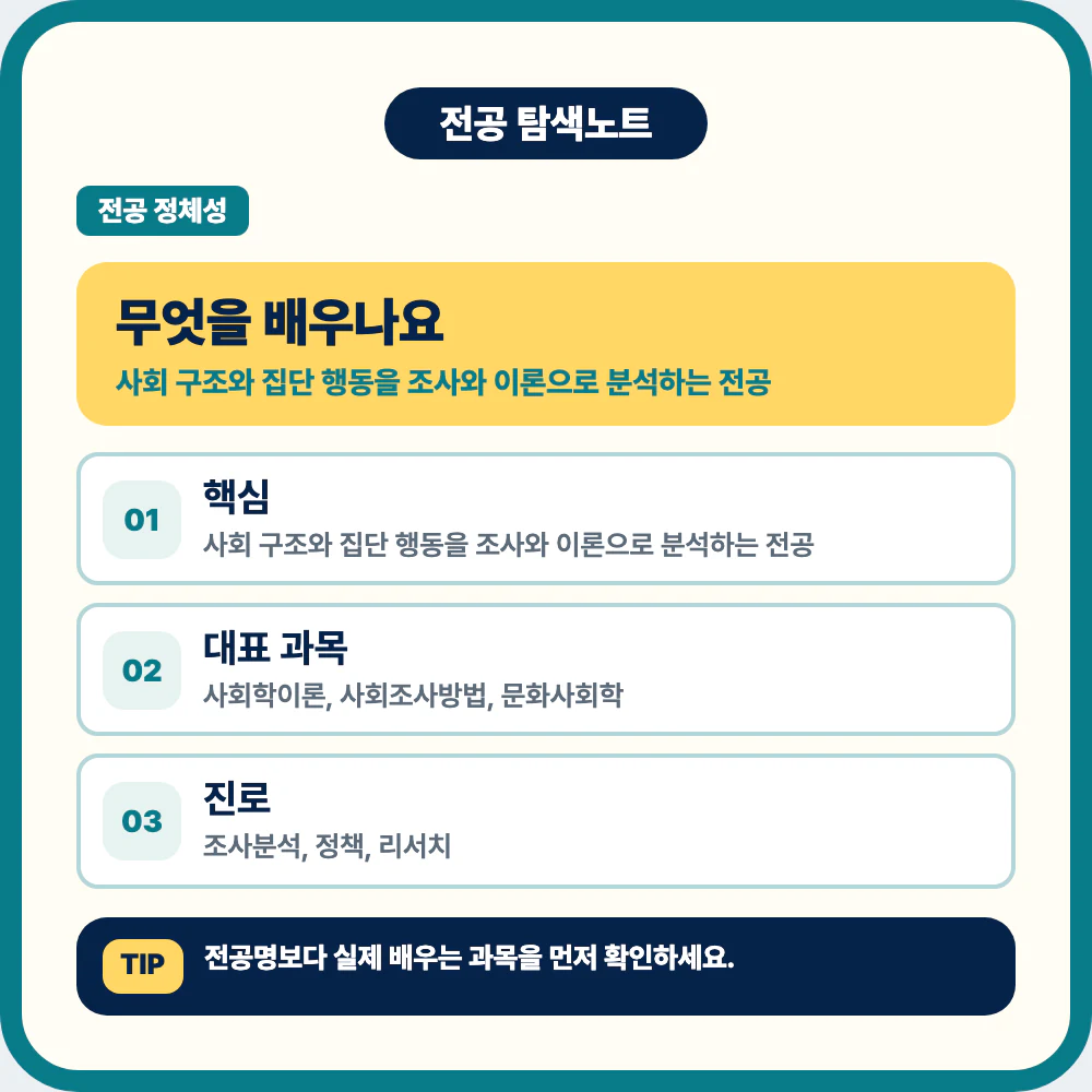 사회학과 전공에서 배우는 사회 구조와 집단 행동 분석 설명 이미지