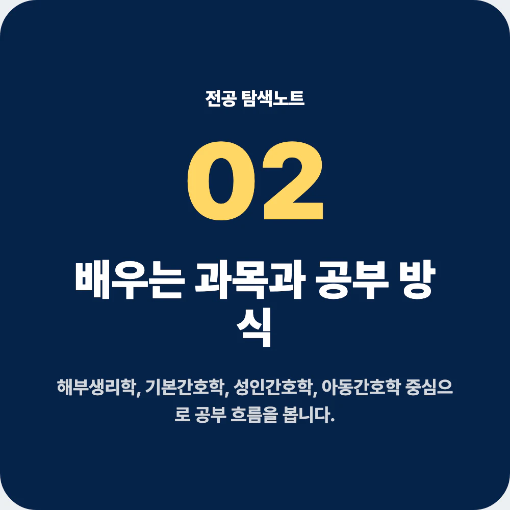 간호학과 주요 과목과 공부 방식 설명 이미지