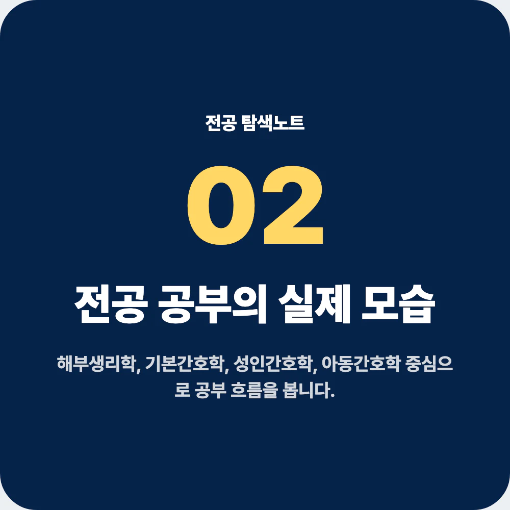 간호학과 전공 공부와 대표 과목을 설명하는 이미지