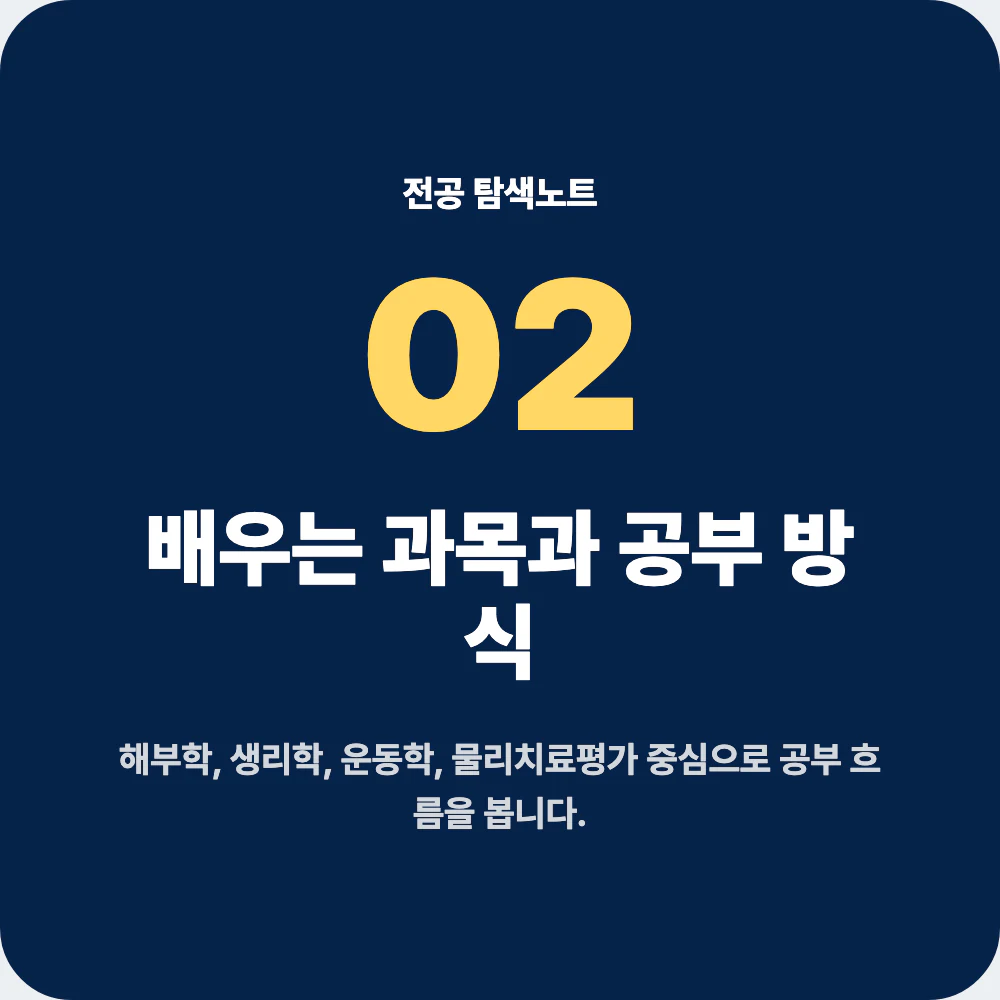 물리치료학과 배우는 과목과 공부 방식 정리 이미지