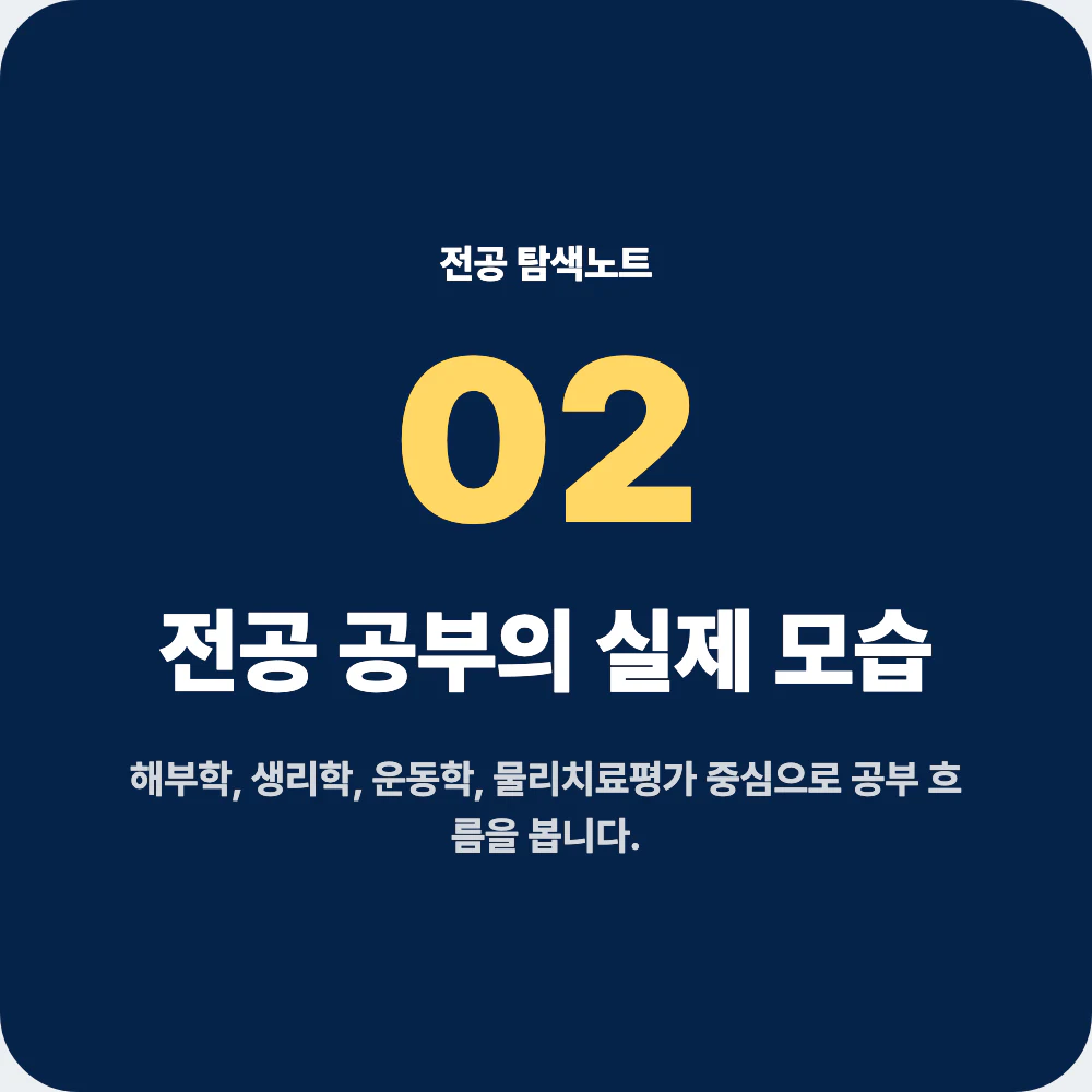 물리치료학과 전공 공부와 대표 과목 설명 이미지