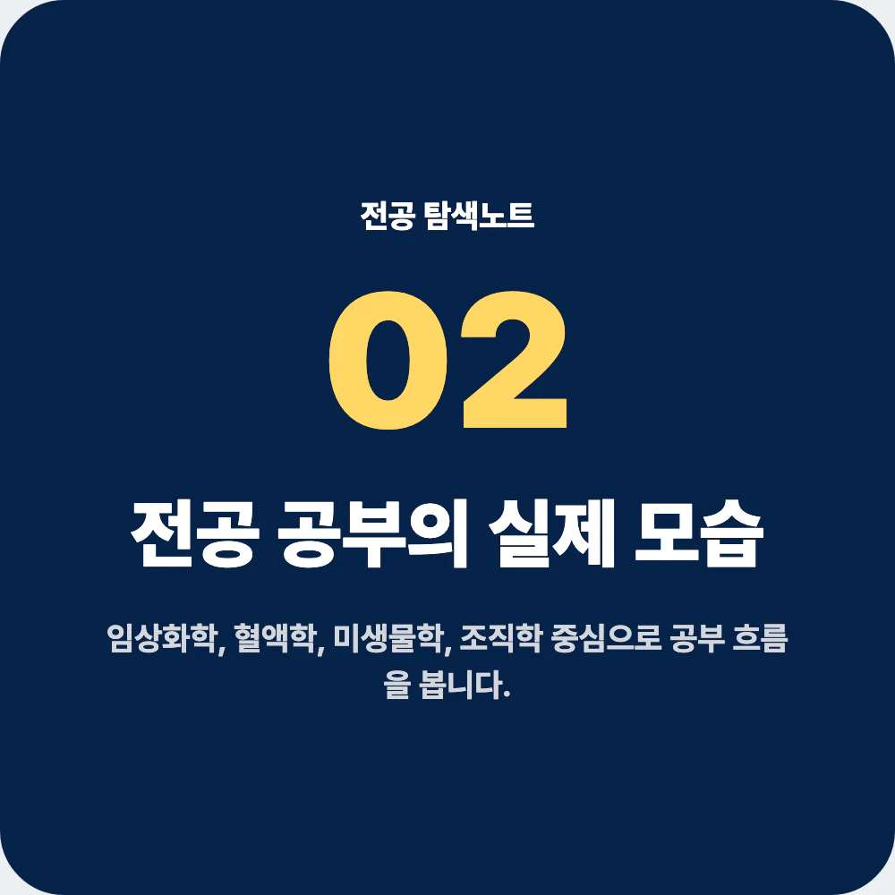 임상병리학과 전공 공부와 대표 과목 설명 이미지